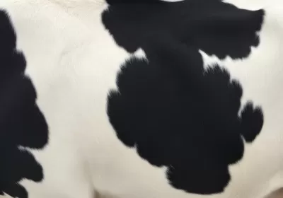 Imagen PNG para descargar